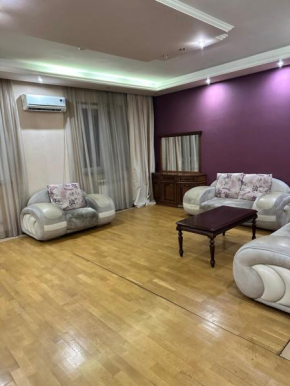 Beautiful penthouse on Amiryan